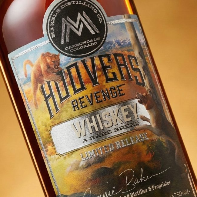 version-nine-the-hoovers-revenge